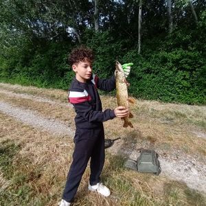 Northern Pike