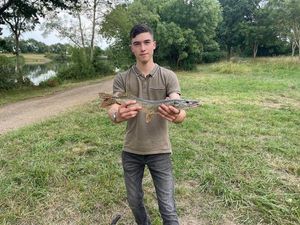 Northern Pike