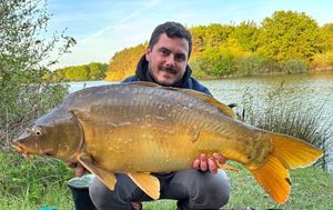 Mirror Carp