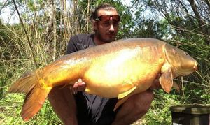 Mirror Carp