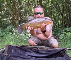 Tench