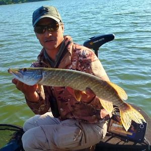 Northern Pike