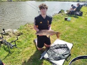 Common Carp
