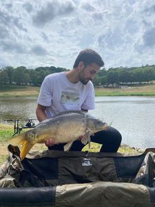 Mirror Carp