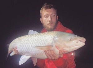 Grass Carp
