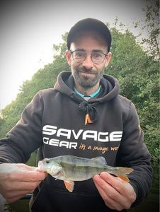 European Perch