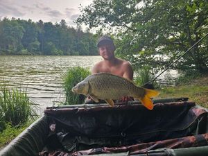 Common Carp