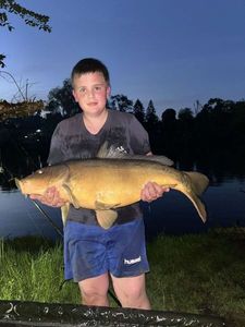 Mirror Carp