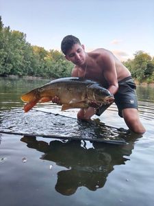 Mirror Carp