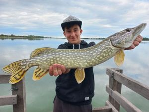 Northern Pike