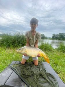 Mirror Carp
