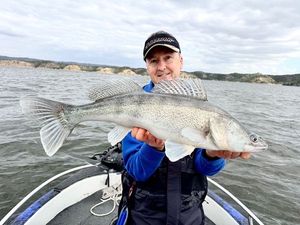Zander