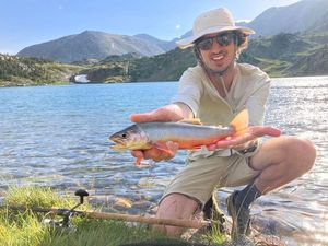 Arctic Char