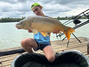 Mirror Carp