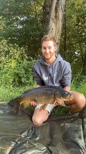 Common Carp