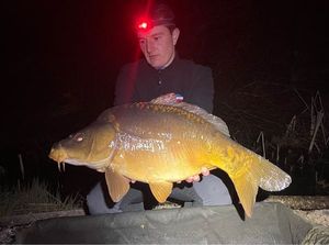 Mirror Carp
