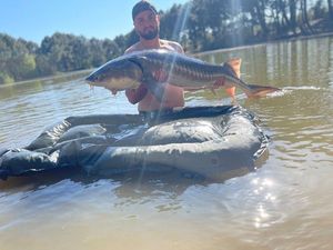 Sturgeon