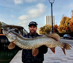 Northern Pike