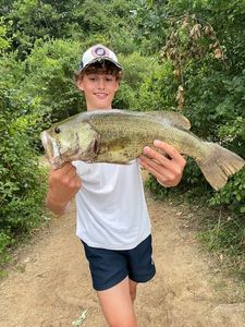 Largemouth Bass