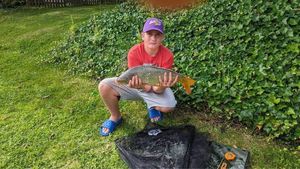 Common Carp
