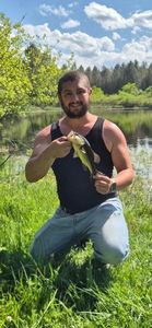 Largemouth Bass