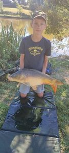 Mirror Carp