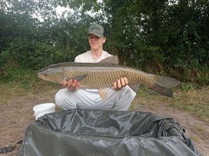 Grass Carp