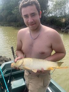 Common Carp