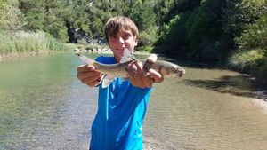 Barbel