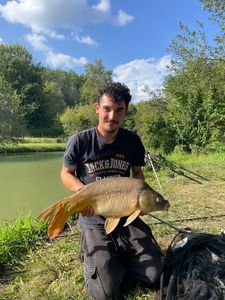 Mirror Carp