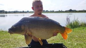 Mirror Carp