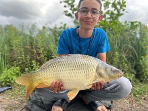 Common Carp