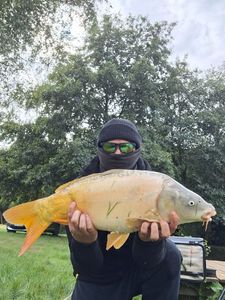 Leather Carp