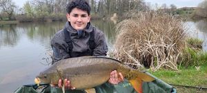 Mirror Carp