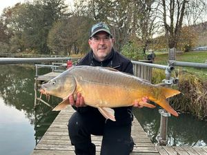 Mirror Carp