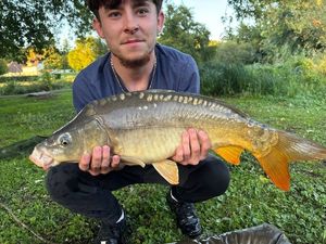 Mirror Carp