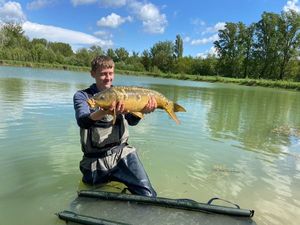 Mirror Carp