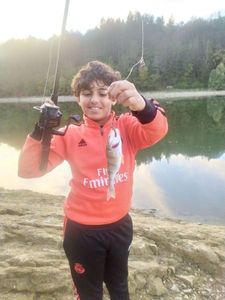 European Perch