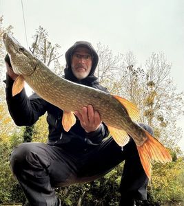 Northern Pike