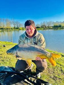 Mirror Carp