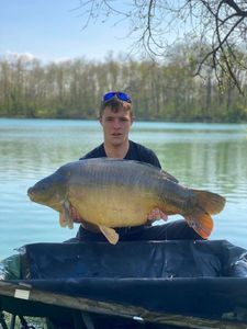 Mirror Carp