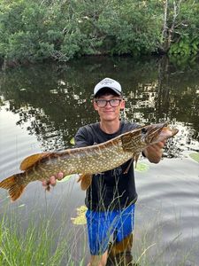 Northern Pike