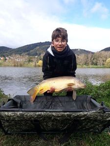 Mirror Carp
