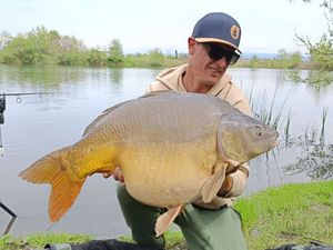 Mirror Carp