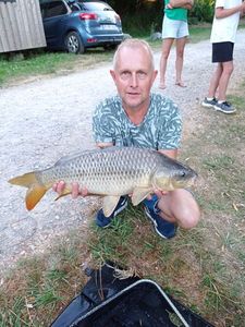 Common Carp