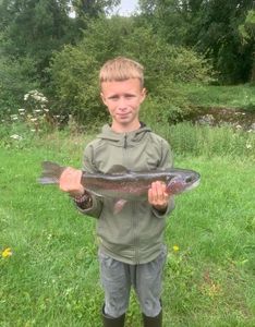 Rainbow Trout