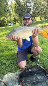 Mirror Carp