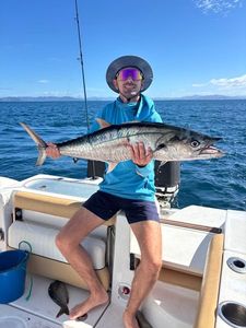 Spanish Mackerel