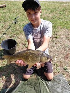 Crucian Carp