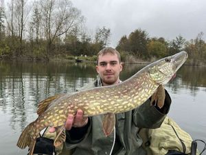Northern Pike